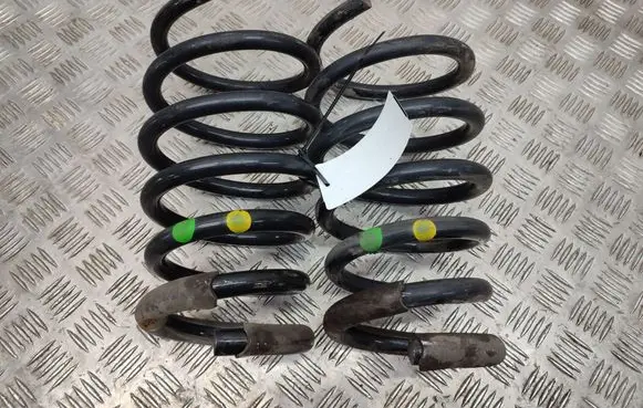 Rear coil spring
