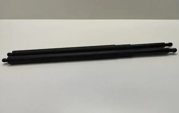 Tailgate/trunk strut/damper