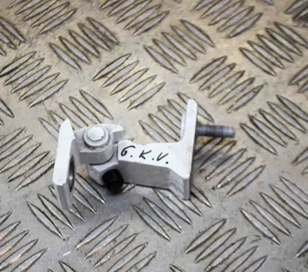 Rear door lower hinge