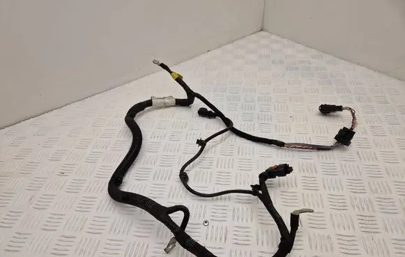 Citroen DS5 Other wiring loom 9801892980 03893