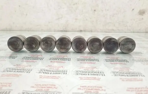 Volkswagen Golf IV Tappets lifter 