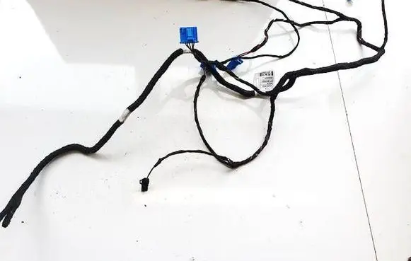 Volkswagen ID.4 Other wiring loom 1EA971566P T711029