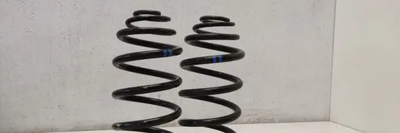 Mercedes-Benz Vito Viano W639 Rear coil spring