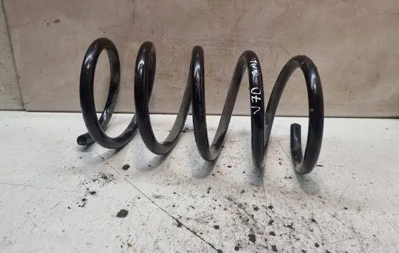 Rear coil spring
