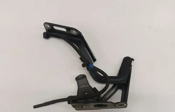 Engine bonnet/hood hinges