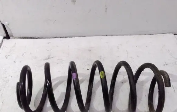 Opel Antara Front coil spring