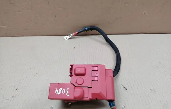 Ford Mustang Mach-E Positive cable (battery) LJ8T14A094BC
