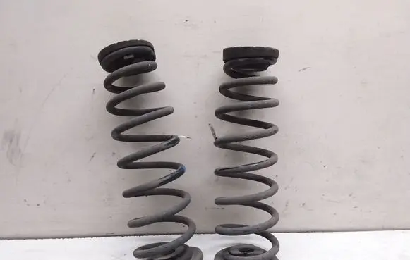 Rear coil spring
