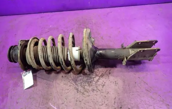 Fiat Doblo Front shock absorber with coil spring 