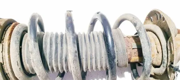 Volkswagen PASSAT B6 Front coil spring