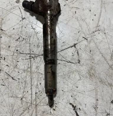 Renault Kangoo II Fuel injector