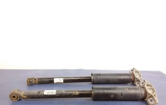 Opel Astra J Rear shock absorber/damper 13411888