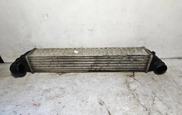 Volkswagen Sharan Intercooler radiator 7M3145805