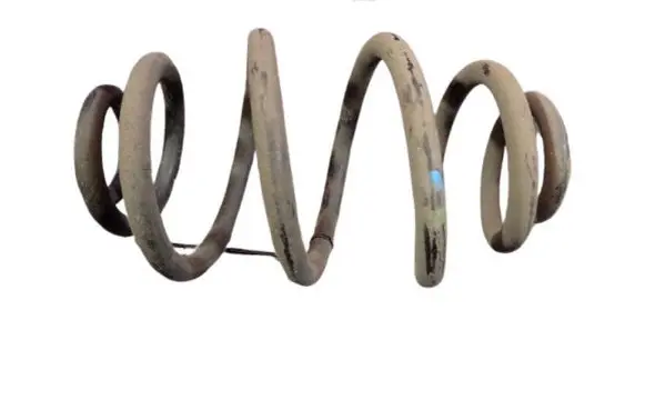 Rear coil spring
