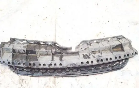 Front grill