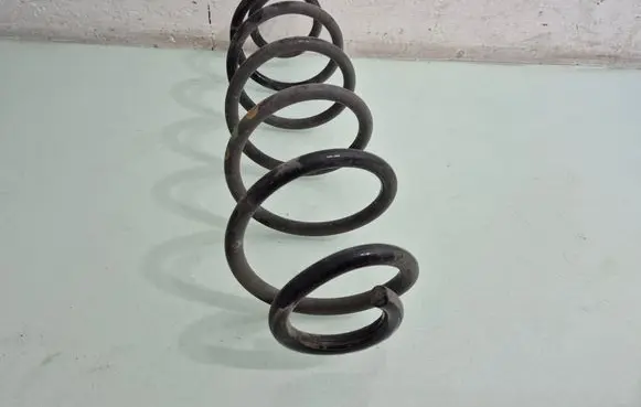 Rear coil spring