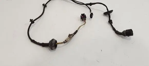 Volkswagen PASSAT B5.5 Rear door wiring loom