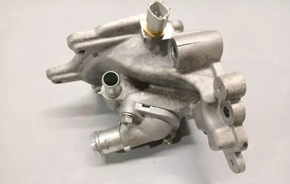 Thermostat/thermostat housing