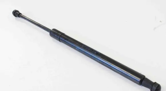 Tailgate/trunk strut/damper