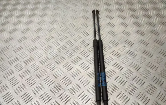 Tailgate/trunk strut/damper