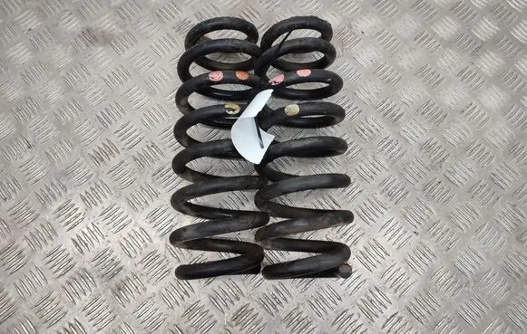 Rear coil spring