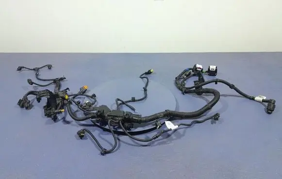 BMW Z4 E85 E86 Other wiring loom 5A09BF5