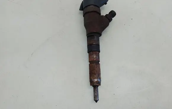 Peugeot 406 Fuel injector 0445110076