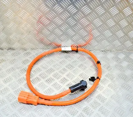 Porsche Cayenne (92A) Other wiring loom 7P5971602A