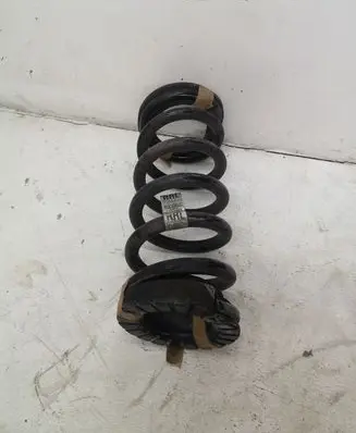 Ford Mustang VI Rear coil spring FR3C5560LC