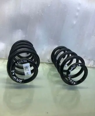 Rear coil spring