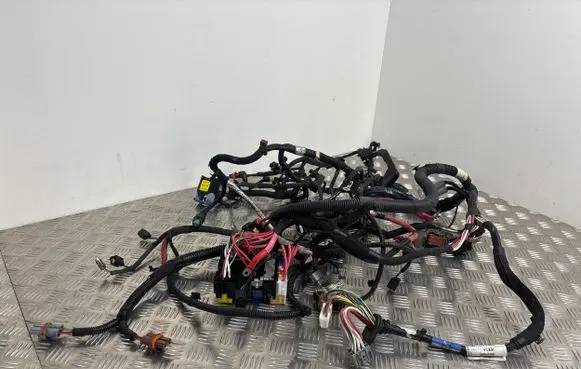 Renault Laguna III Engine installation wiring loom 240115746R 0973 D1105