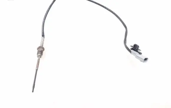 Renault Megane III Exhaust gas pressure sensor