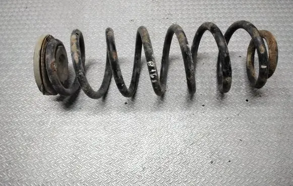 Volkswagen Jetta V Rear coil spring
