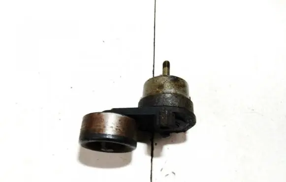 Opel Insignia A Generator/alternator belt tensioner 55563512