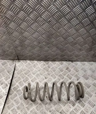 Volkswagen PASSAT B6 Rear coil spring 