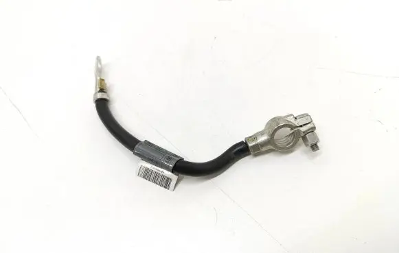 Mercedes-Benz B W245 Negative earth cable (battery) A1695406409 551570