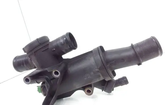 Thermostat/thermostat housing