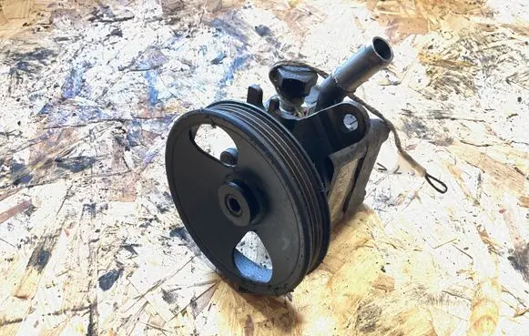 Nissan Almera N16 Power steering pump 7613955144