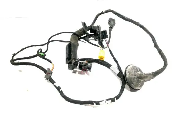 Front door wiring loom