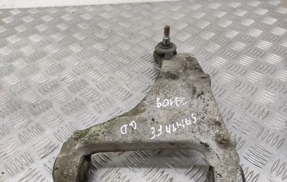 Hyundai Santa Fe Rear upper control arm/wishbone