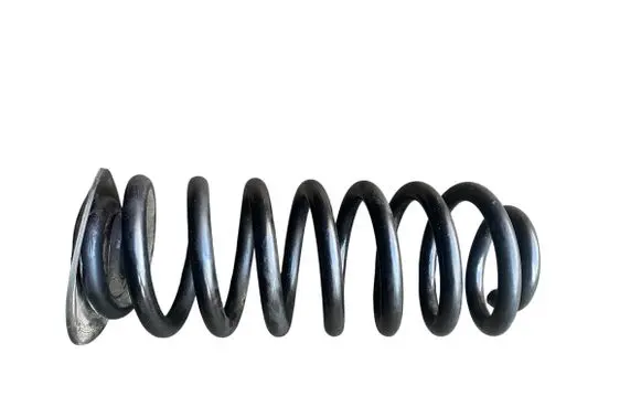 Rear coil spring