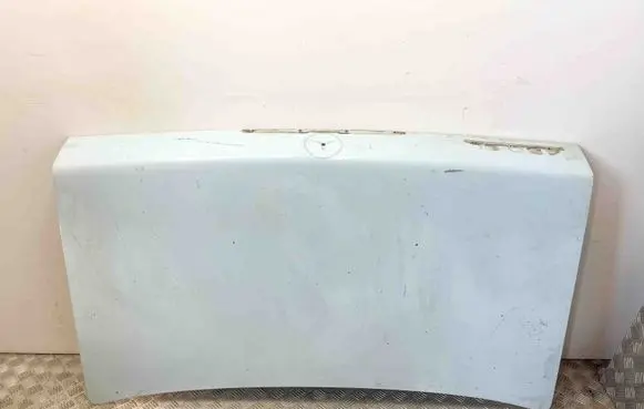 Tailgate/trunk/boot lid