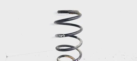 Front coil spring