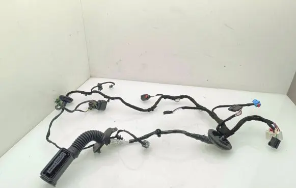 Volkswagen Touareg III Rear door wiring loom 760971694CS