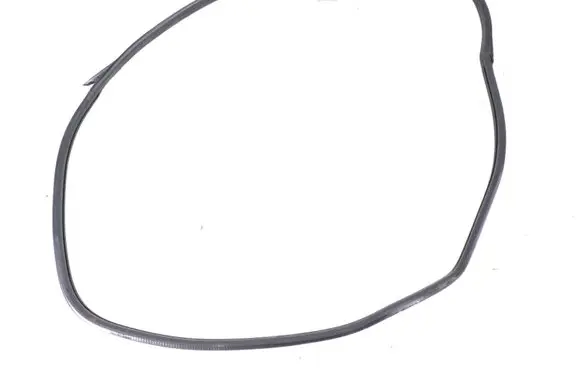 Chevrolet Camaro Front door rubber seal 84160282