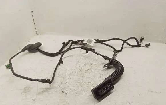 Volkswagen ID.3 Rear door wiring loom TAB016298 2113459451