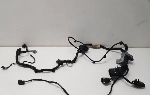 Front door wiring loom