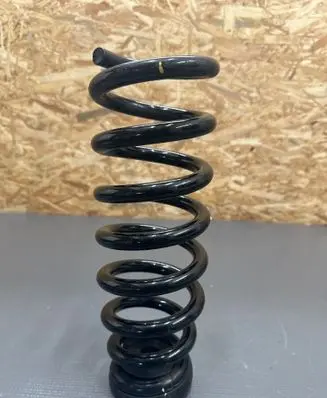 Hyundai Ioniq 5 Rear coil spring
