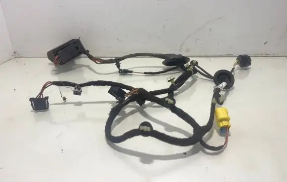 Volkswagen PASSAT B7 Front door wiring loom 3AB971120AG