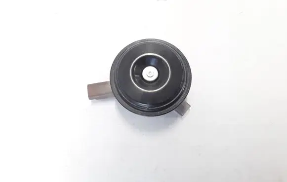 Renault Koleos II Alarm system siren 